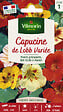 VILMORIN - Capucine de Lobb Variée Vilmorin - vignette