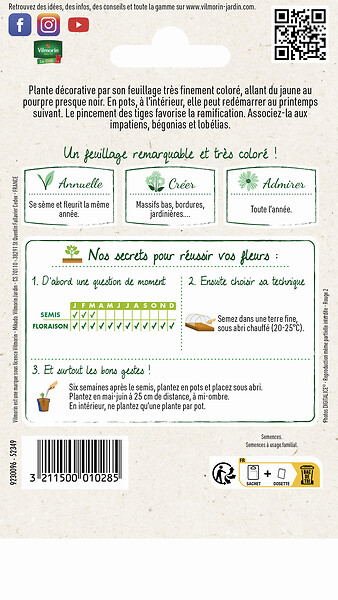 VILMORIN - Coléus Arc-en-Ciel Amélioré - Multicolore - 0,1 g - large