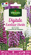 VILMORIN - Graines de digitale - Digitale Excelsior - Variée - 0.5 g - vignette