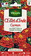 VILMORIN - Oeillet d'Inde Carmen Vilmorin - vignette