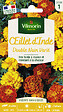 VILMORIN - Oeillet d'Inde Double Nain Varié Vilmorin - vignette
