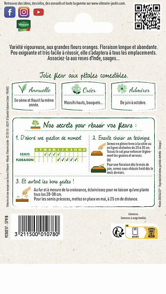 VILMORIN - Souci Orange King - Sachet de graines - Fleur annuelle 3g - large