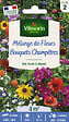VILMORIN - Mélange de fleurs Bouquets Champêtres 4m2 Vilmorin - vignette