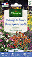 VILMORIN - Mélange de fleurs Fleurs Vivaces pour Rocaille 4m2 Vilmorin - vignette