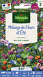 VILMORIN - Mélange de fleurs annuelles Jolies Fleurs d'Été 4m2 - vignette