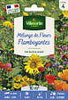 VILMORIN - Mélange de fleurs Mélange Flamboyant - 10m² - Multicolore - vignette