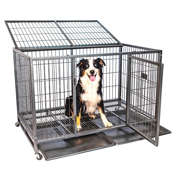 PAITSY - Cage pour chien intérieur et extérieur MouvedyXL, 123x79x84cm, caisse de transport, roues verrouillables, pliable, 2 portes, plateau amovible, Paitsy - large