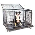 PAITSY - Cage pour chien intérieur et extérieur MouvedyXL, 123x79x84cm, caisse de transport, roues verrouillables, pliable, 2 portes, plateau amovible, Paitsy - vignette