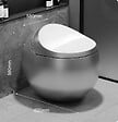 JAPAN WC - Toilette japonaise Hoshi - vignette
