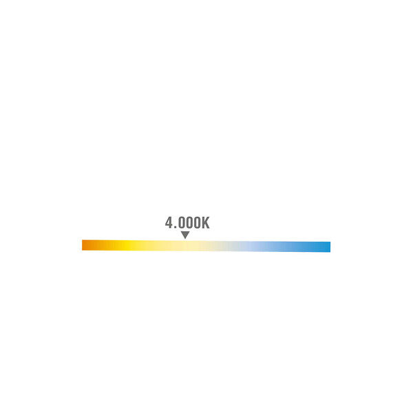 EDM - Plafonnier avec Détecteur et Éclairage de Secours 16W 1100lm (78W) - Blanc Naturel 4000K - large