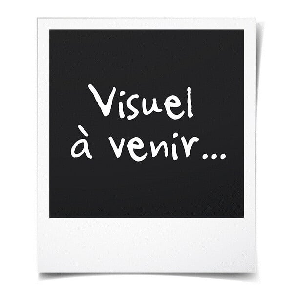 AEG - Caisse de rangement AEG 53.5x 28.8x 25.4cm - AEG21TB - large