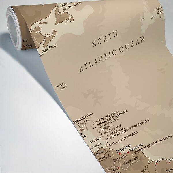 99DECO - Papier peint panoramique - Map Monde - intissé : 150g/m² - 7 lés : 336x270cm - large