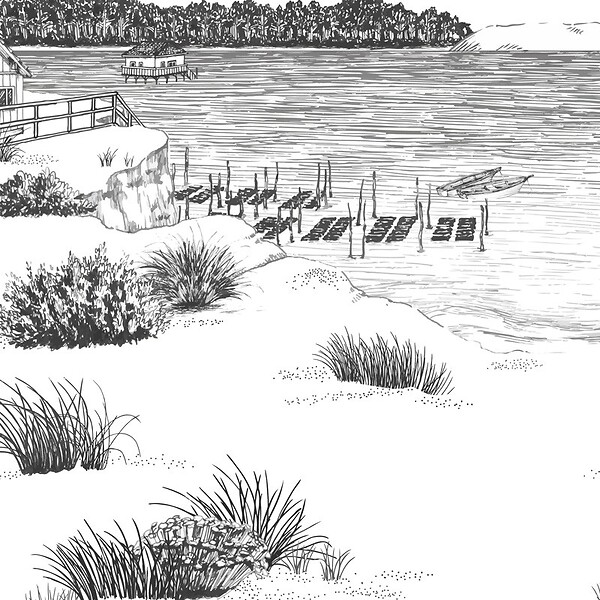 99DECO - Papier peint panoramique - Cap Ferret - Noir - intissé : 150g/m² - 9 lés : 432x270cm - large