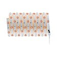 PAULMANN - Ruban LED RGB TIP - 5m - 13W Blanc - vignette