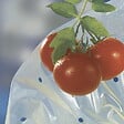 NORTENE - Housse de croissance tomate Tomatotube en film perforé jaune - avec liens - vignette