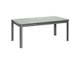 JARDILINE - Ensemble Table rectangulaire extensible et 10 chaises de jardin en aluminium gris Milos Anthracite - 10 places - Jardiline - vignette