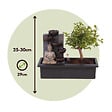 PLANT IN A BOX - Bonsaï - Bonsai - Hauteur 25-35cm - ⌀29cm - vignette