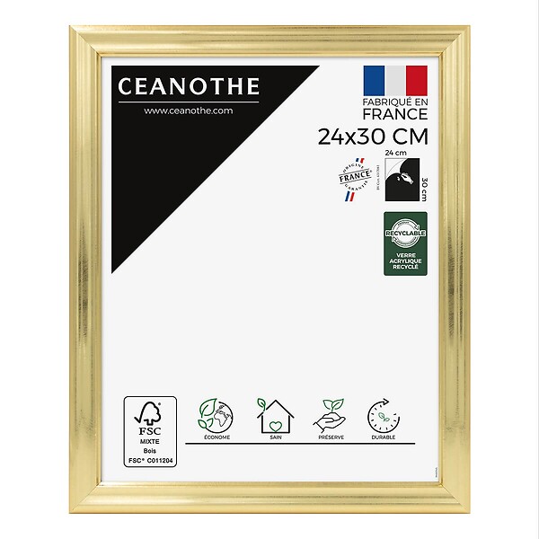 CEANOTHE - Cadre 24X30 Julia doré - large