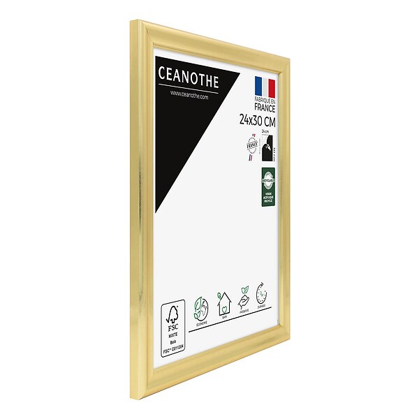 CEANOTHE - Cadre 24X30 Julia doré - large