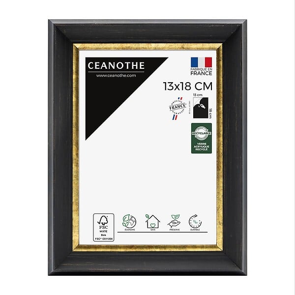 CEANOTHE - Cadre 13X18 Pandoré noir doré - large