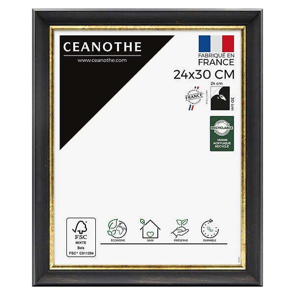 CEANOTHE - Cadre 24X30 Pandoré noir doré - large