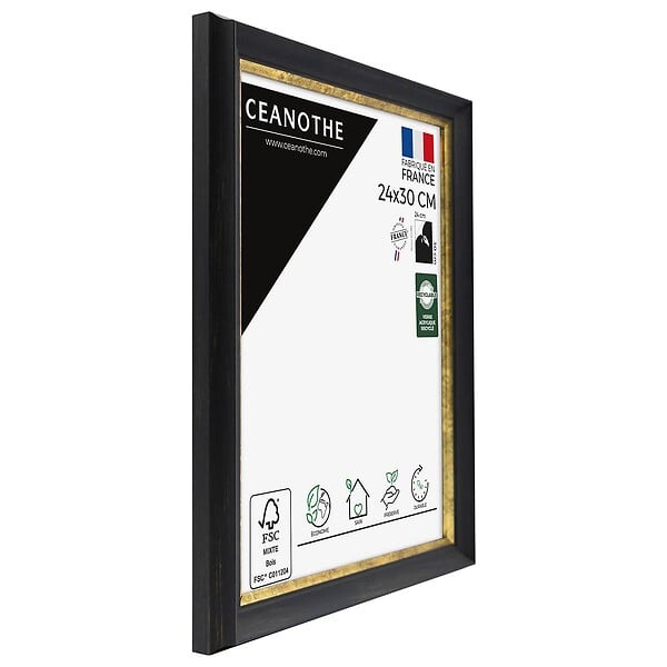 CEANOTHE - Cadre 24X30 Pandoré noir doré - large