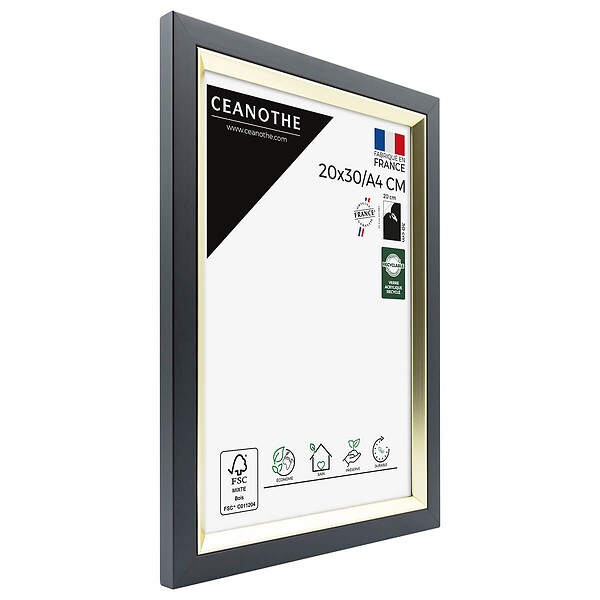 CEANOTHE - Cadre photo Actual noir doré 20x30/A4 cm - large