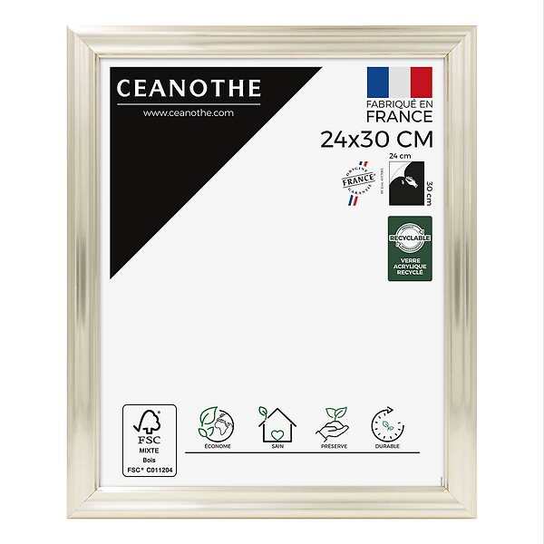 CEANOTHE - Cadre 24X30 Julia doré blanchie - large