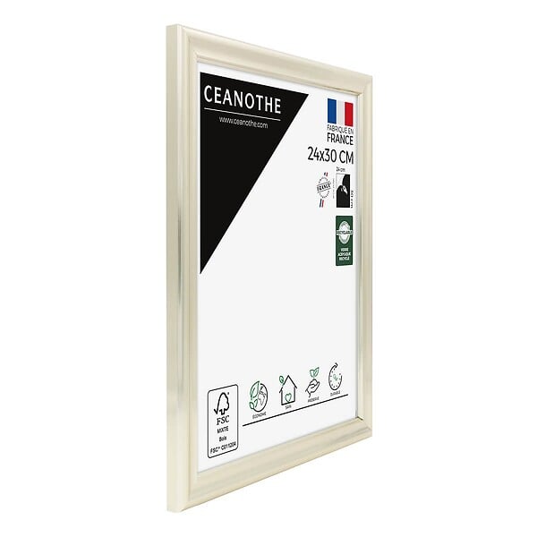 CEANOTHE - Cadre 24X30 Julia doré blanchie - large