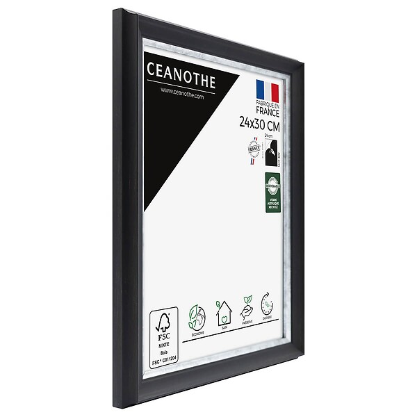 CEANOTHE - Cadre 24X30 Pandoré noir argent - large
