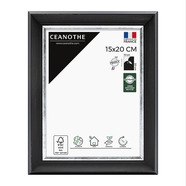 CEANOTHE - Cadre 15X20 Pandoré noir argent - large