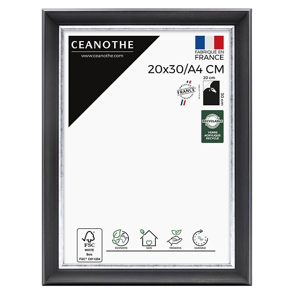 CEANOTHE - Cadre 20X30-A4 Pandoré noir argent - large