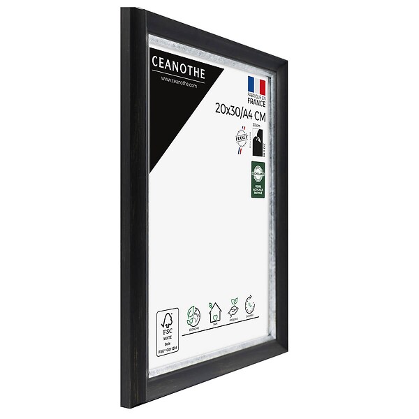 CEANOTHE - Cadre 20X30-A4 Pandoré noir argent - large