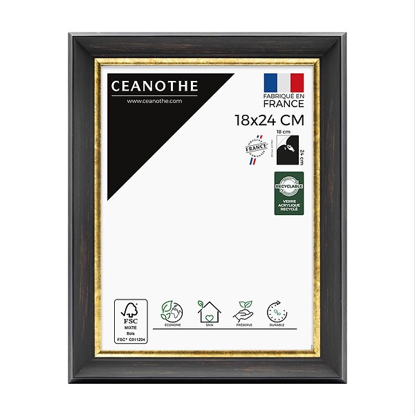 CEANOTHE - Cadre 18X24 Pandoré noir doré - large