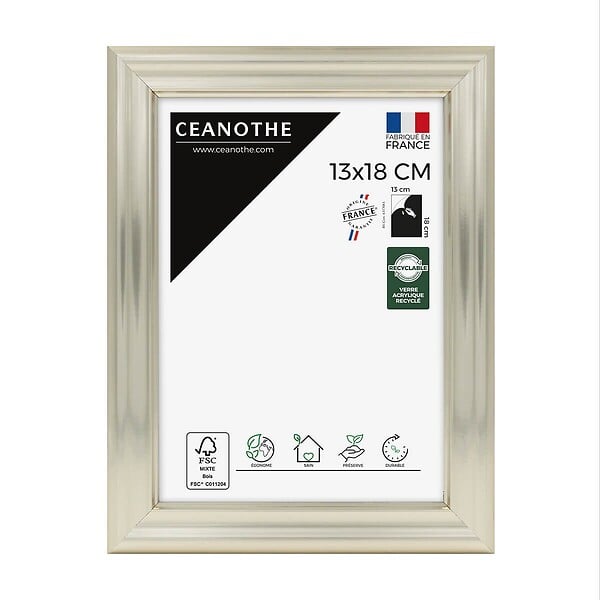 CEANOTHE - Cadre 13X18 Julia doré blanchie - large