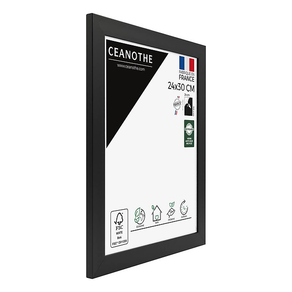 CEANOTHE - Cadre 24X30 Eternel noir - large