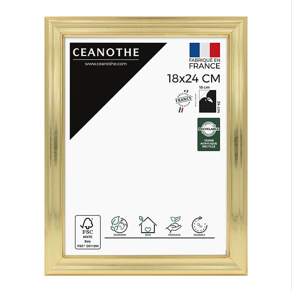 CEANOTHE - Cadre 18X24 Julia doré - large