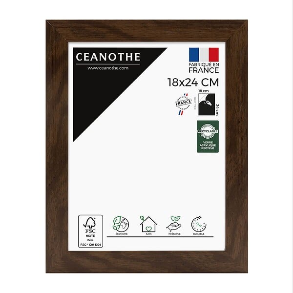 CEANOTHE - Cadre 18X24 Eternel ébène - large