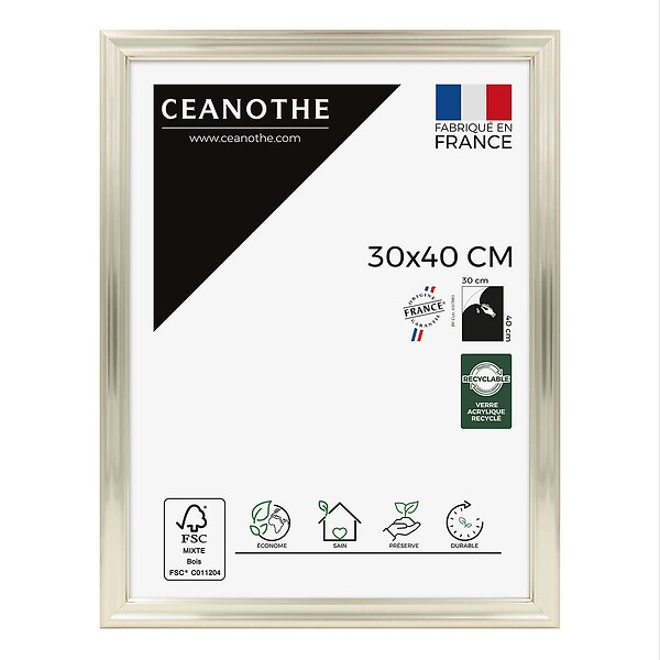 CEANOTHE - Cadre 30X40 Julia doré blanchie - large