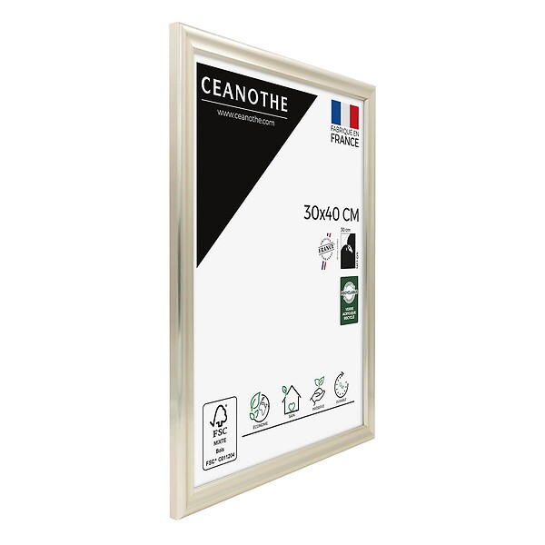 CEANOTHE - Cadre 30X40 Julia doré blanchie - large