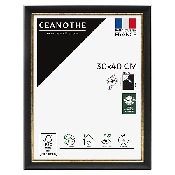CEANOTHE - Cadre 30X40 Pandoré noir doré - large