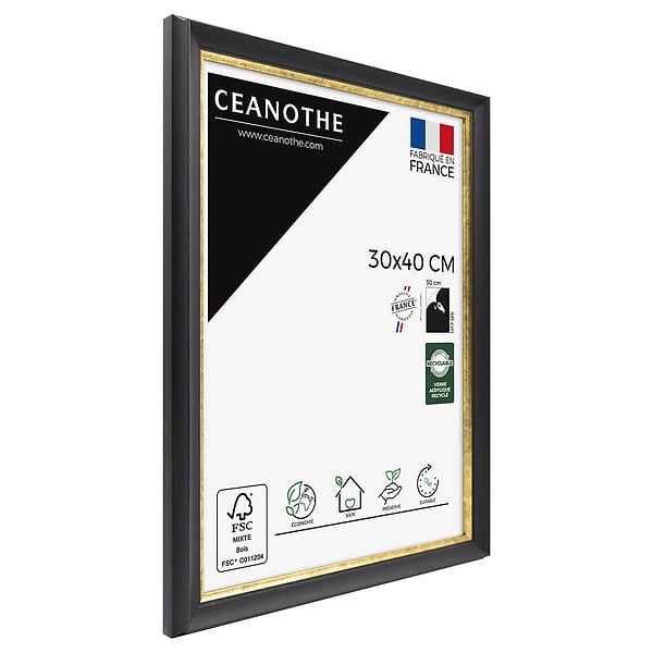 CEANOTHE - Cadre 30X40 Pandoré noir doré - large