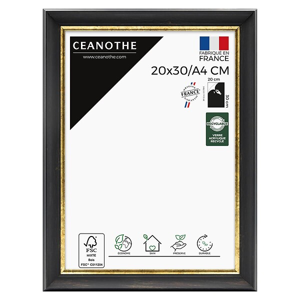 CEANOTHE - Cadre 20X30-A4 Pandoré noir doré - large
