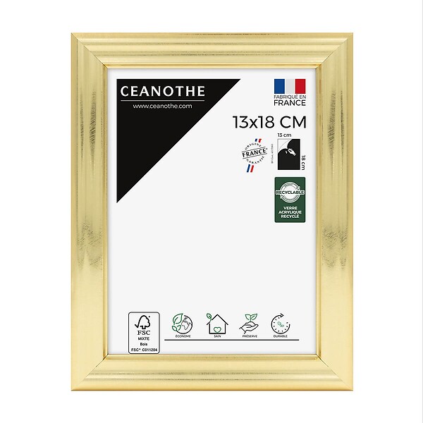 CEANOTHE - Cadre 13X18 Julia doré - large