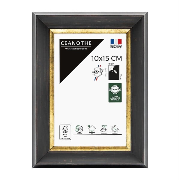 CEANOTHE - Cadre 10X15 Pandoré noir doré - large
