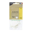 CEANOTHE - Sachet 12 attaches gommees 30mm - vignette