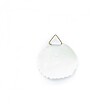 CEANOTHE - Sachet 12 attaches gommees 45mm - vignette