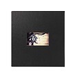 CEANOTHE - Album Photo Traditionnel Studio noir 60 pages 300 Photos 10x15 - vignette