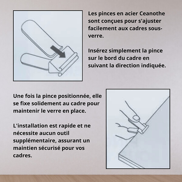 CEANOTHE - Sachet 6 pinces sous verre courte 4-8mm - large