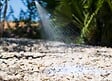 JARDINAT - Fixateur gravier mineralspray 5l - vignette